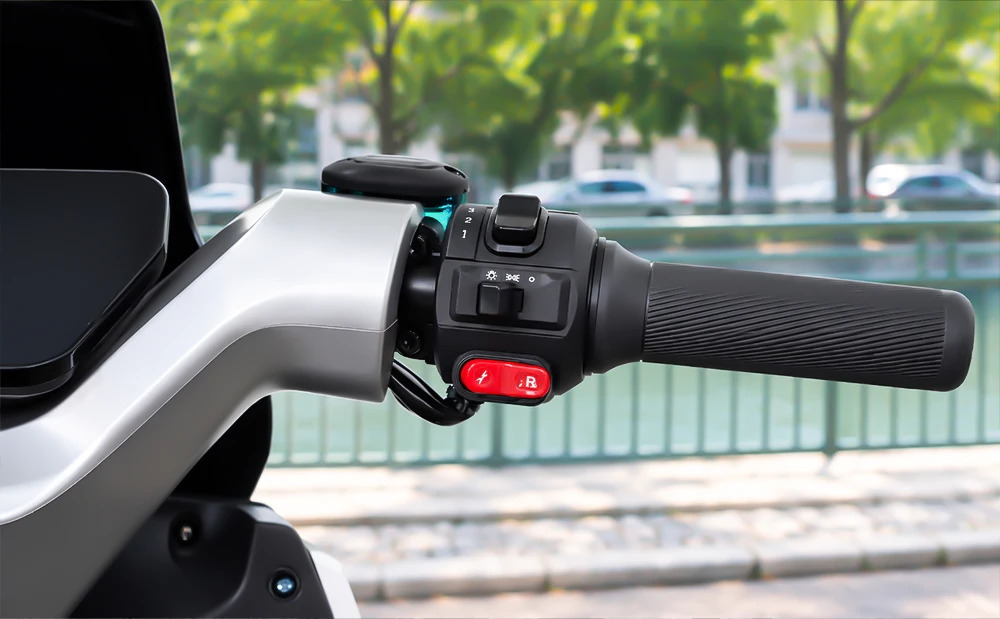 TCS + Drive/Reverse Controls