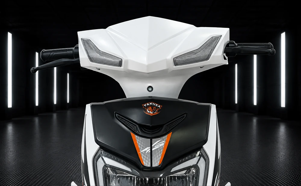 Yakuza Electric Scooter: Y5 gallery