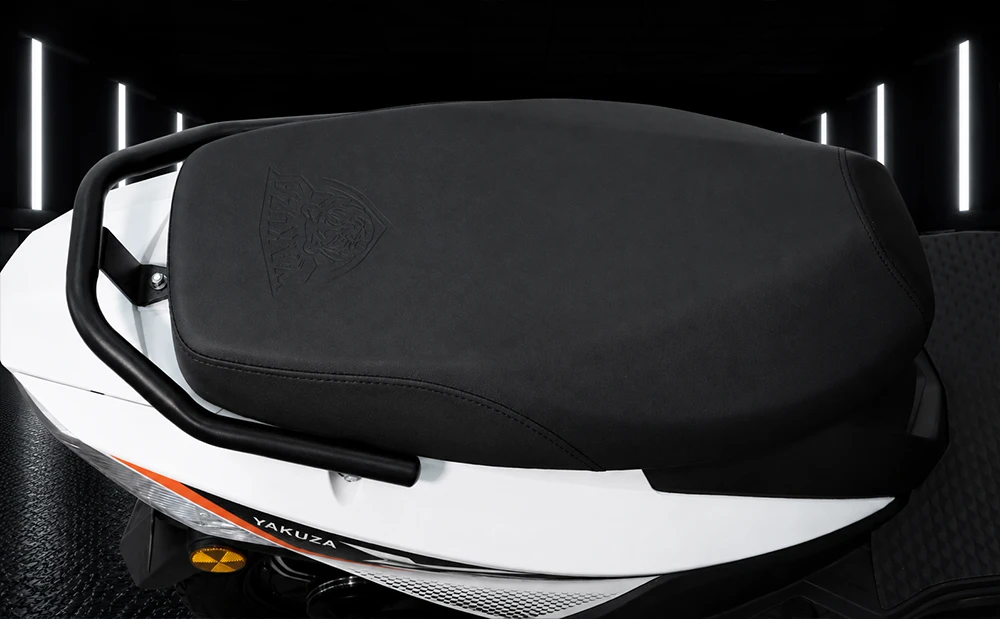 Yakuza Electric Scooter: Y5 gallery