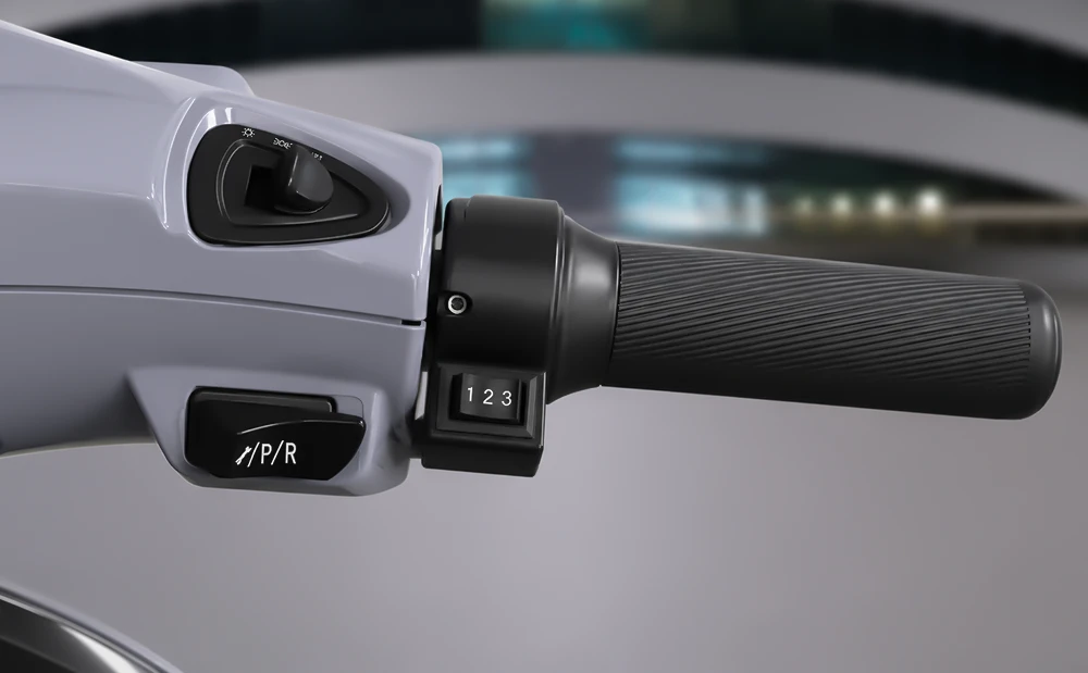 Drive / Reverse Controls
